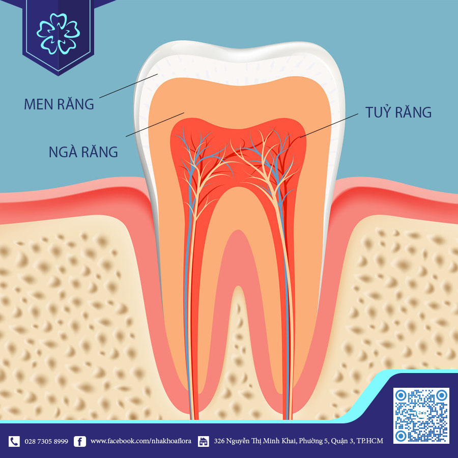 bọc răng sứ là gì bọc răng sứ là gì