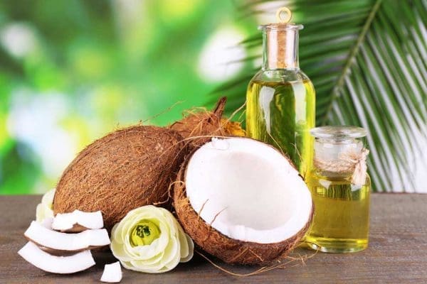 Chữa hôi miệng bằng dầu dừa Chữa hôi miệng bằng dầu dừa