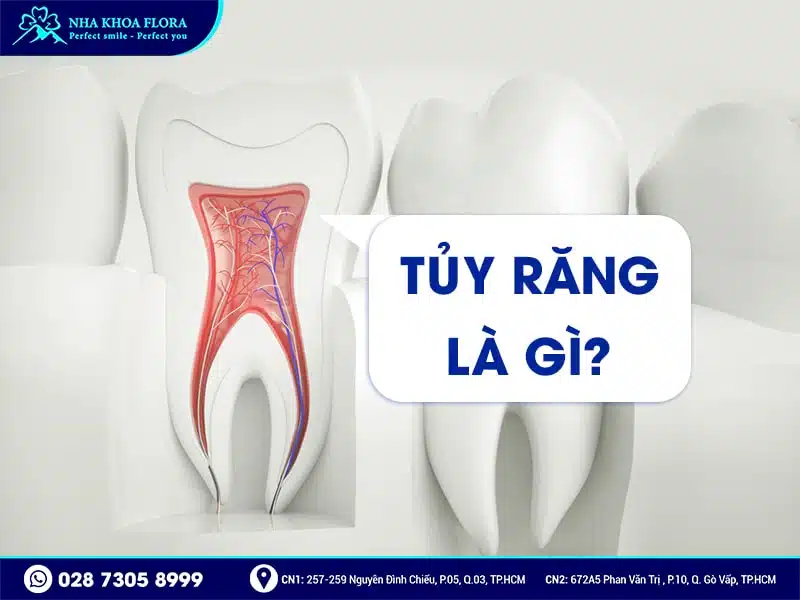Bọc răng sứ sau khi lấy tủy - ảnh 1 Bọc răng sứ sau khi lấy tủy - ảnh 1