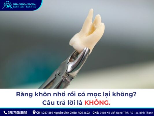 Răng khôn nhổ rồi có mọc lại không? - ảnh 1 Răng khôn nhổ rồi có mọc lại không? - ảnh 1