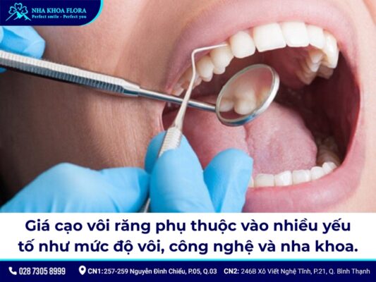 giá cạo vôi răng - ảnh 2